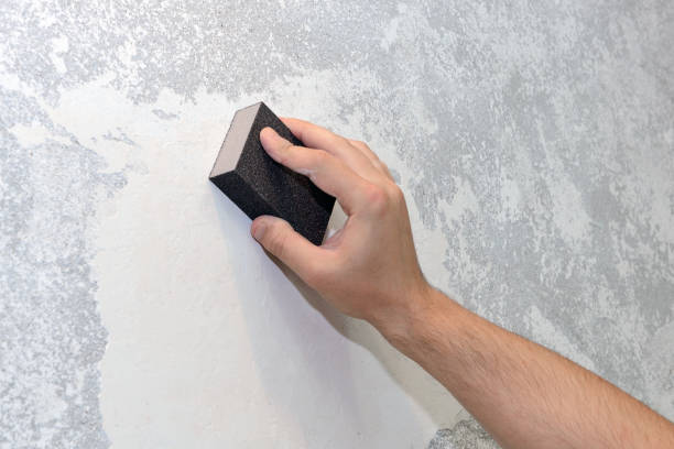 Best Asbestos and Lead Testing During Mold Inspection  in Clayton, GA
