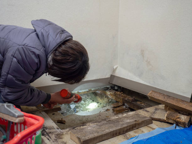 Best Airborne Mold Testing  in Clayton, GA