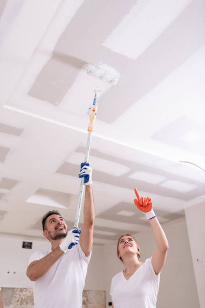 Mold Removal for HVAC Installations in Clayton, GA