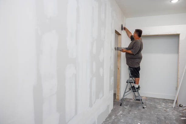 Best Real Estate Mold Inspection  in Clayton, GA