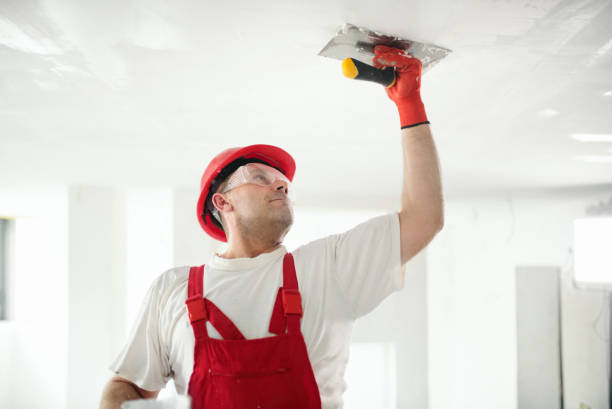 Best Mold Damage Restoration  in Clayton, GA