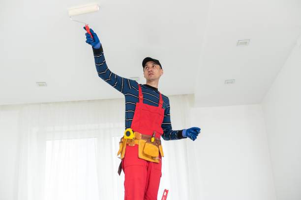 Best Environmental Consulting for Mold Prevention  in Clayton, GA