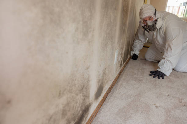 Best Air Quality Testing for Mold Spores  in Clayton, GA