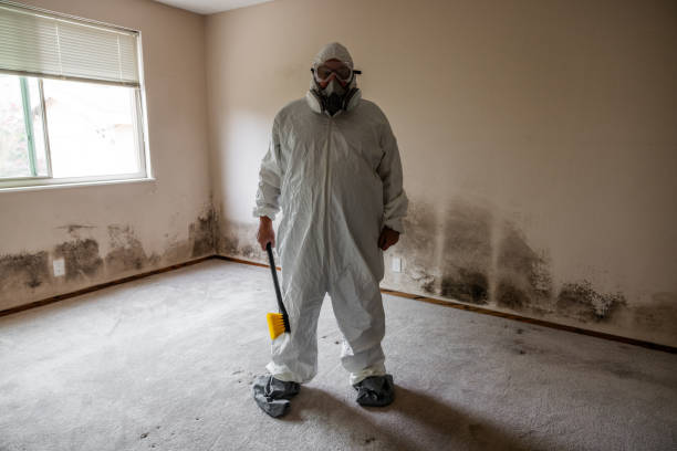Mold Odor Removal Services in Clayton, GA