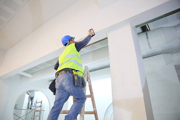 Environmental Consulting for Mold Prevention in Clayton, GA
