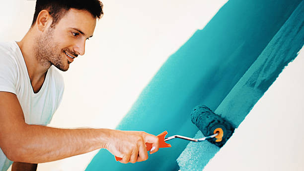 Best Black Mold Removal  in Clayton, GA