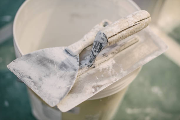 Trusted Clayton, GA Mold Removal Experts